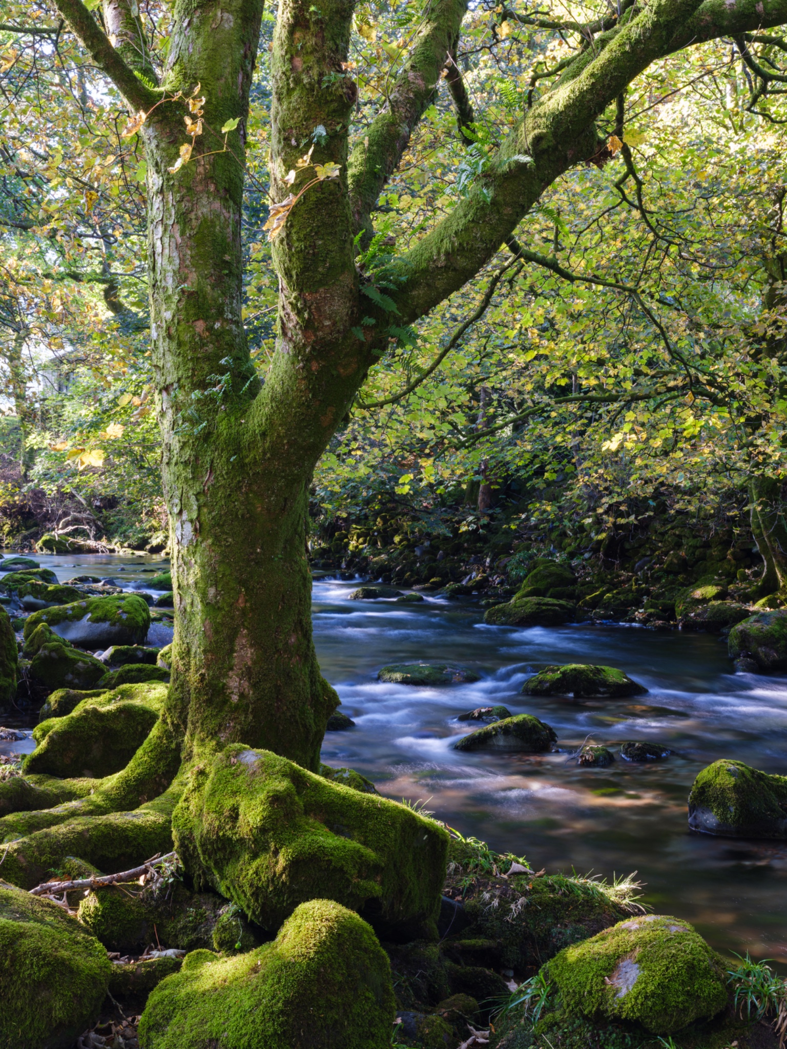 England, Cumbria, Lake District National Park.